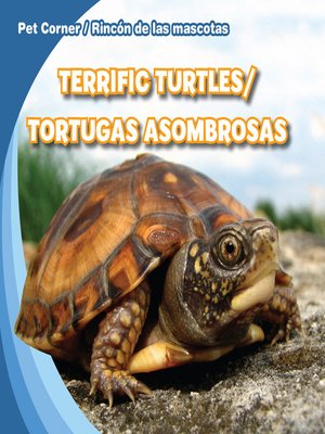 cover image of Terrific Turtles / Tortugas asombrosas